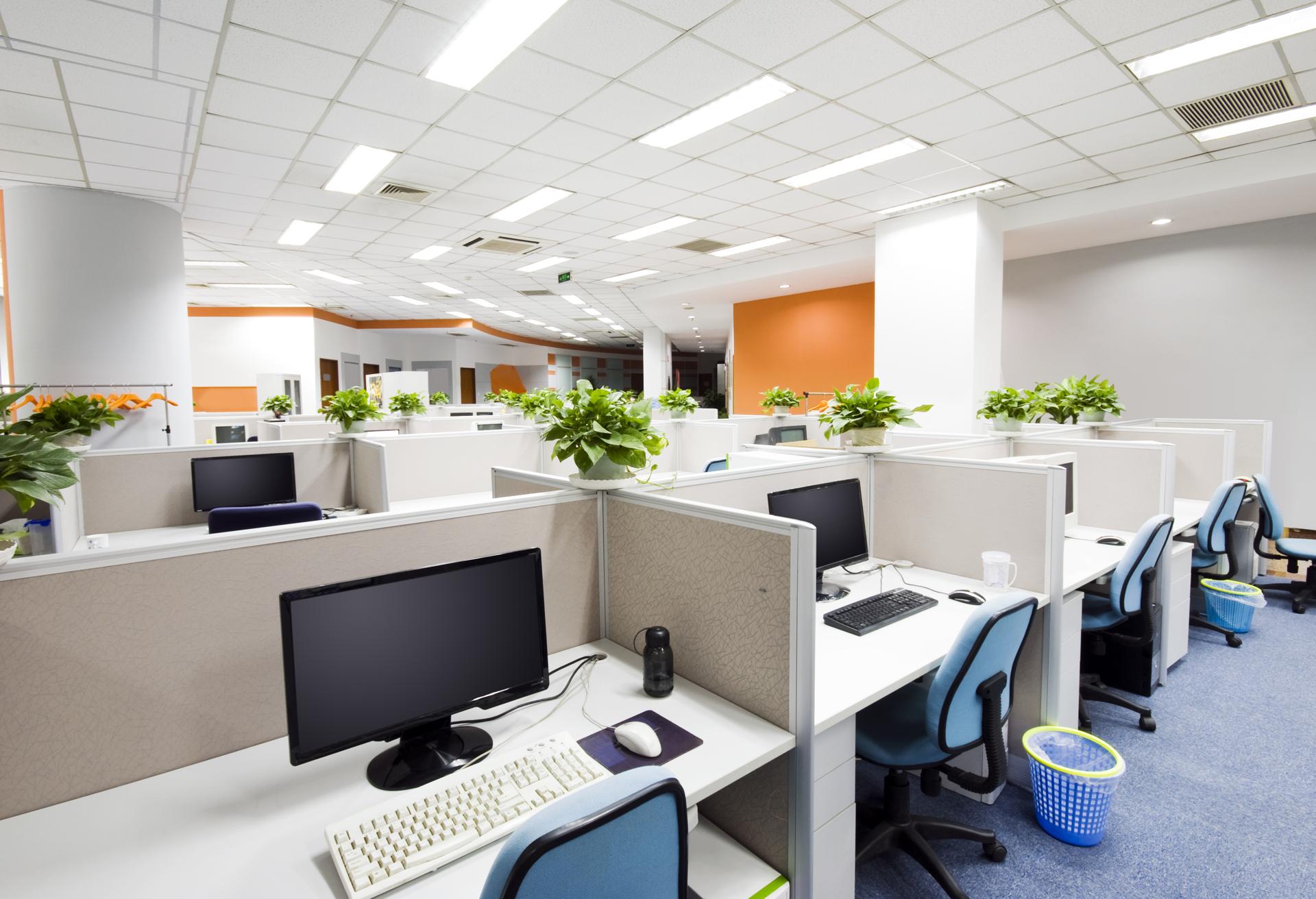 Northern Beaches Commercial Cleaning Commercial Cleaning Services In Northern Beaches